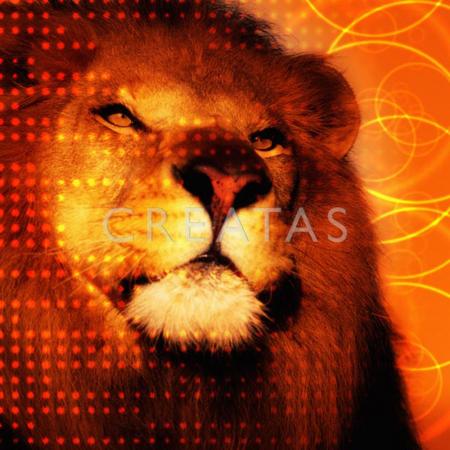 le lion